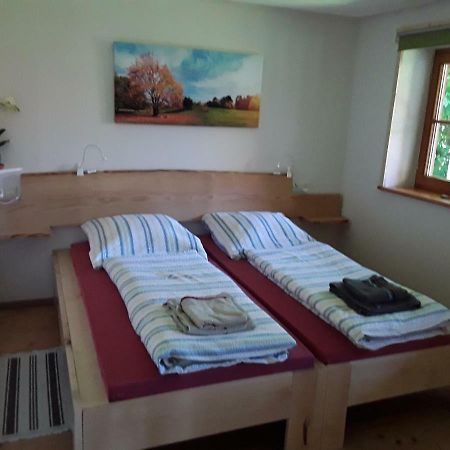 Bodensee Apartment Neukirch Wangener Strasse Экстерьер фото